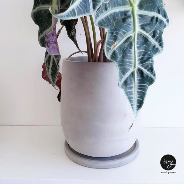 drop shape concrete pot