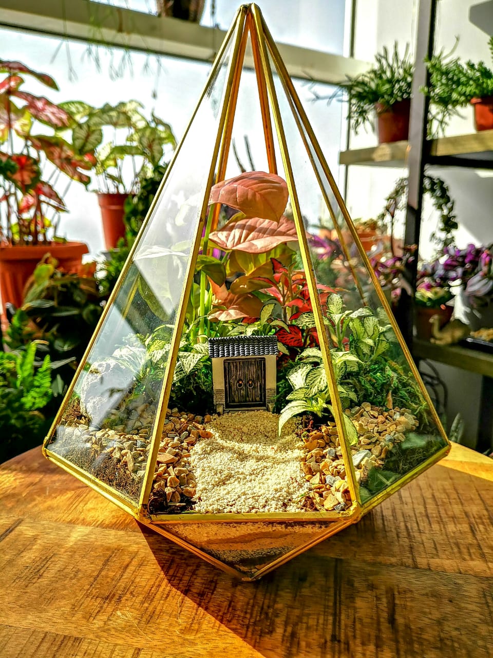 terrarium workshop