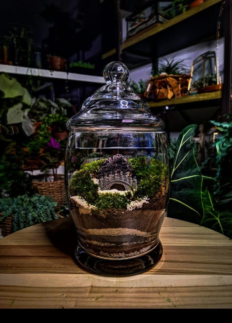 mossrrarium