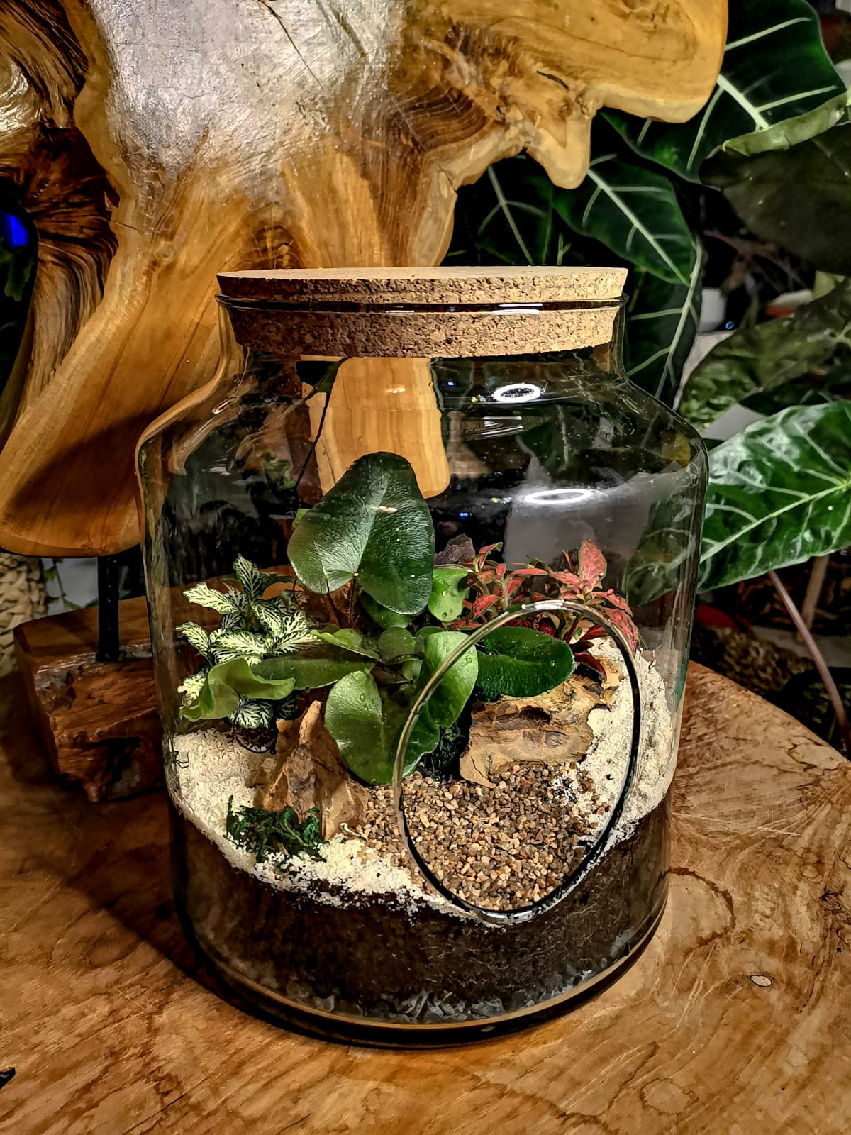 terrarium