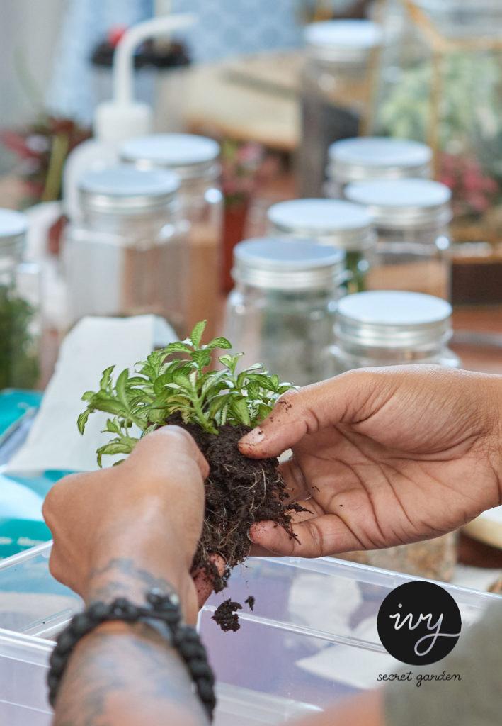 Gardening workshop activity