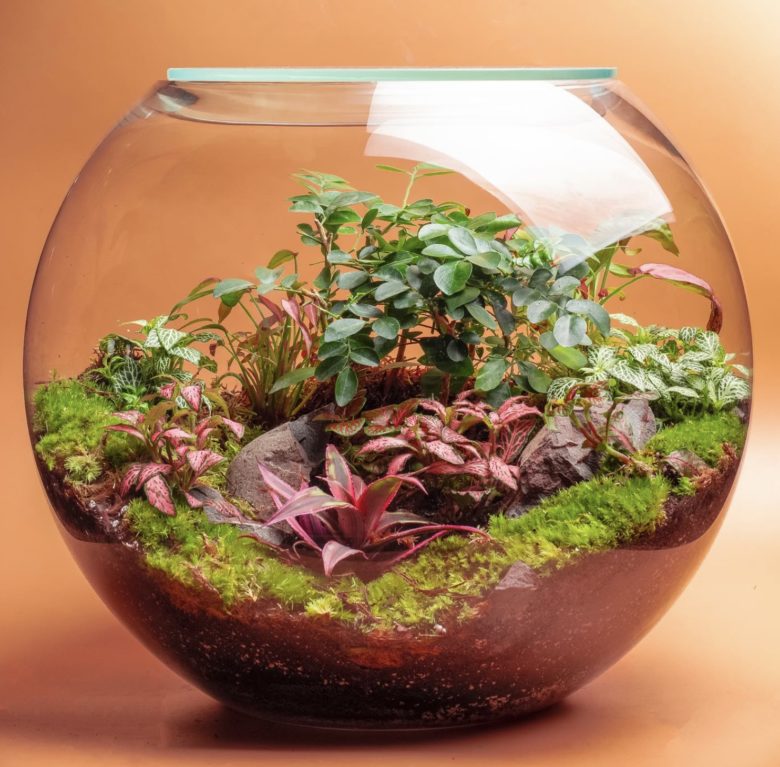 terrarium workshop